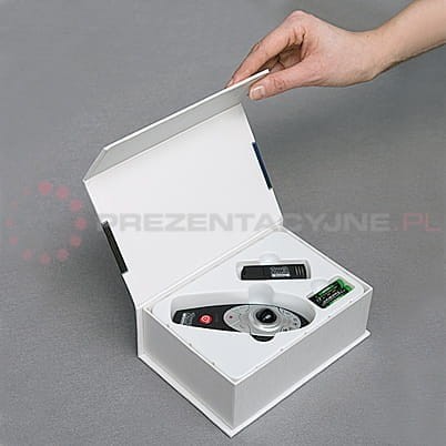 Pilot prezentacyjny - wskaźnik laserowy 2x3 WL3