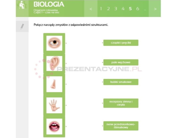 Multimedialne Pracownie Przedmiotowe Biologia (kl. 5-8)